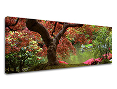 Obraz na stenu Super Panoráma STROMY ST001E14