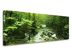 Obraz na stenu Super Panoráma STROMY ST034E14