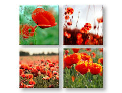 Obraz na stenu Meadow of poppy poppies 4 dielny XOBKOL17E42